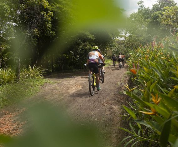 Rota do Cacau - Home 03