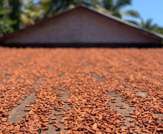 Foto 05 - Sobre o Sul da Bahia