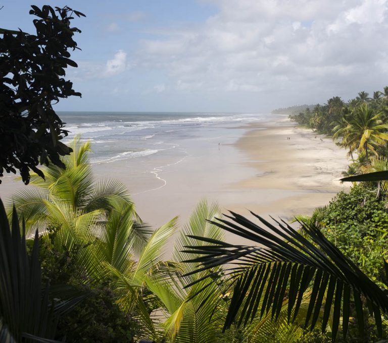 Foto 02 - Sobre o Sul da Bahia