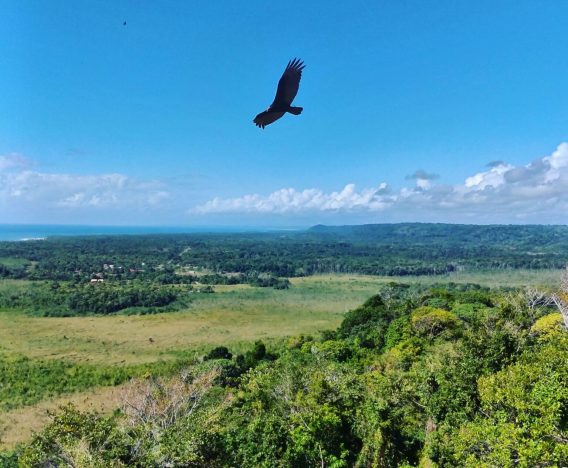 Passeio 06 - DayTrips 07